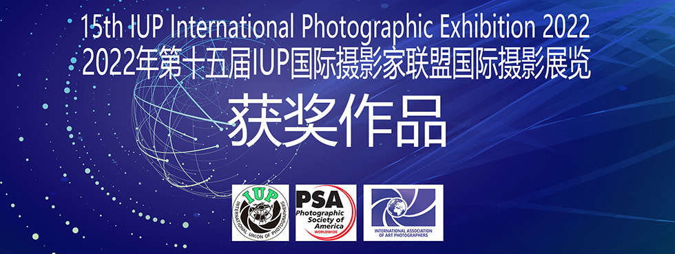 第15届IUP国际摄影展览获奖作品